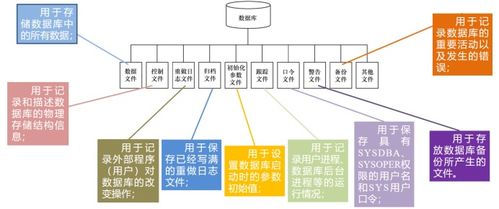 oracle数据库之体系结构