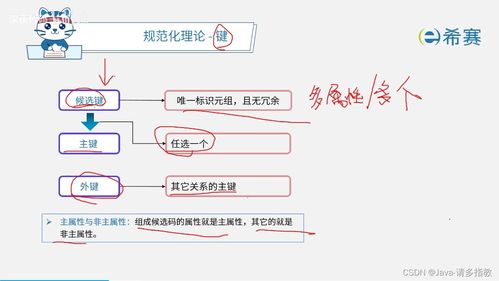 4.软考 数据库系统章节