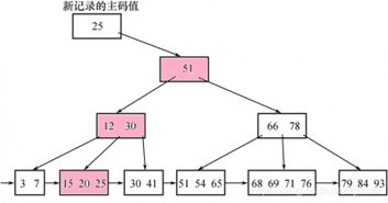 数据库系统概论 完整性