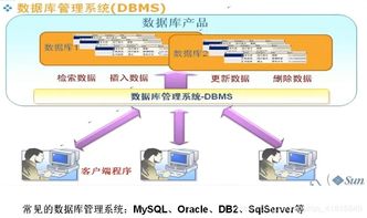 my sql数据库概念