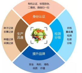 水产品 企业食品 质量全程可视安全追溯系统