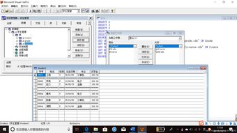 vfp怎么设置字段有效性规则 vfp数据库 csdn