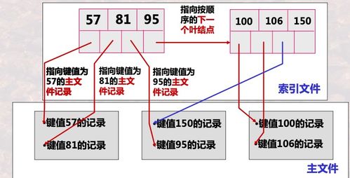 数据库系统 索引